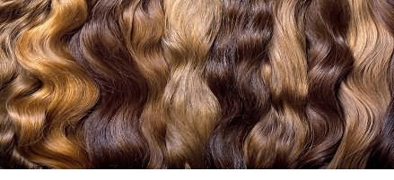 Скільки пігментів буде міститися в волоссі, в якій концентрації і співвідношенні, залежить від генетичної програми організму