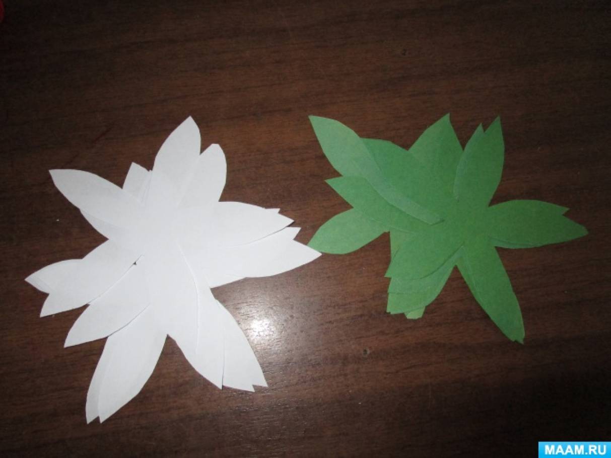 За шаблоном вирізаємо квіти з білою і зеленого паперу