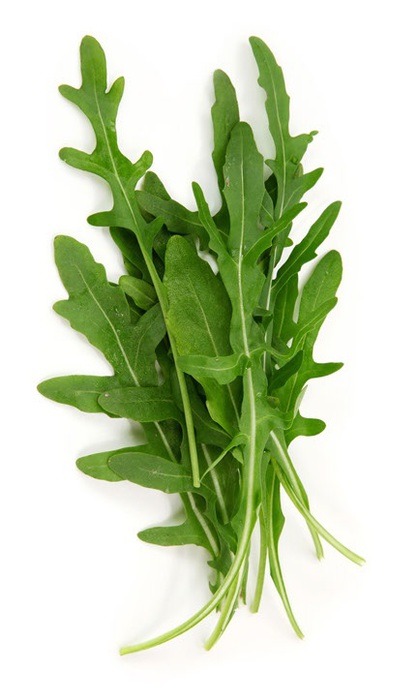 Жодне салатну рослину не може на сьогодні похвалитися таким миттєвим зростанням популярності, як рукола